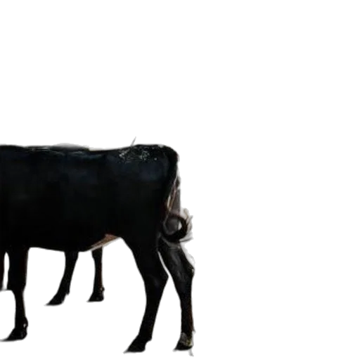 animal, creature, food, weapon transparent PNG cut-out