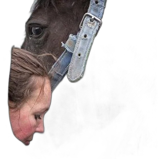 mask, hat, face, crown transparent PNG cut-out