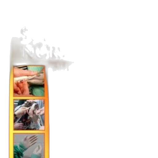 staff, weapon, bottle, food transparent PNG cut-out