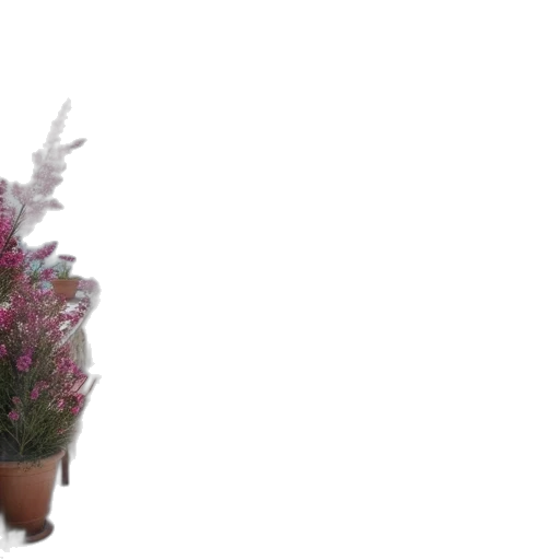 flower, staff, crown, robot transparent PNG cut-out