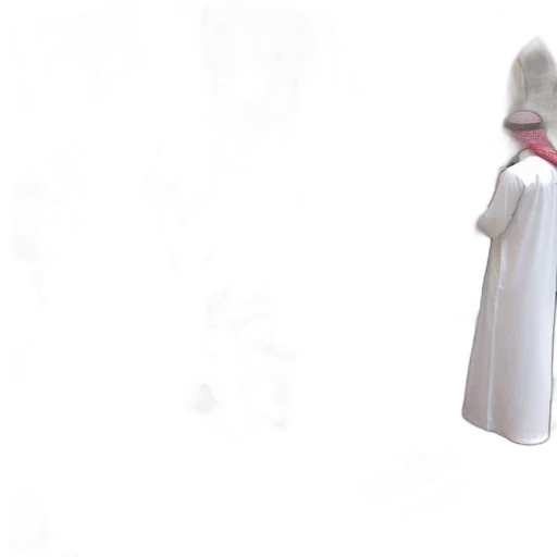 dress, jacket, staff, hat transparent PNG cut-out