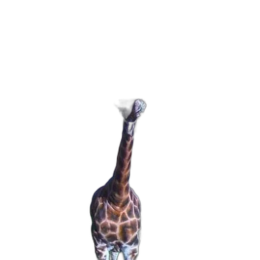 animal, creature, umbrella, staff transparent PNG cut-out