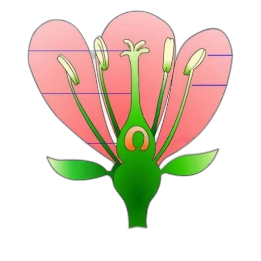 flower, crown, staff, jewelry transparent PNG cut-out