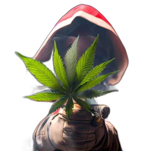 hat, crown, flower, tree transparent PNG cut-out