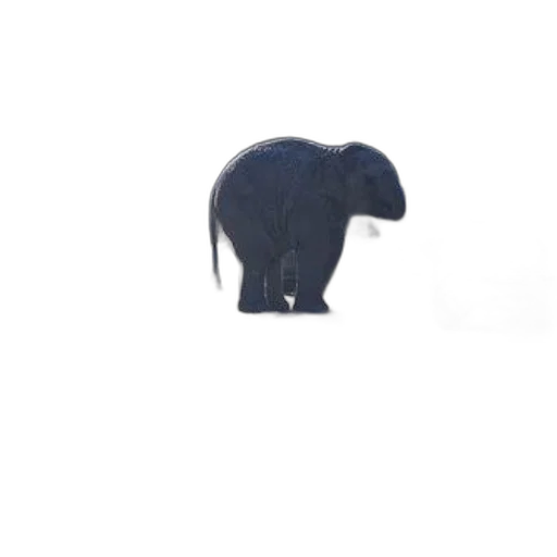 animal, creature, hat, hair transparent PNG cut-out