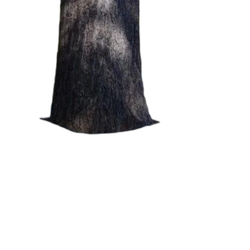 dress, tree, staff, umbrella transparent PNG cut-out