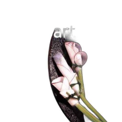 flower, hair, shoes, hat transparent PNG cut-out