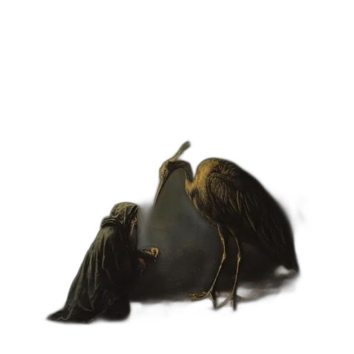crown, animal, hair, creature transparent PNG cut-out
