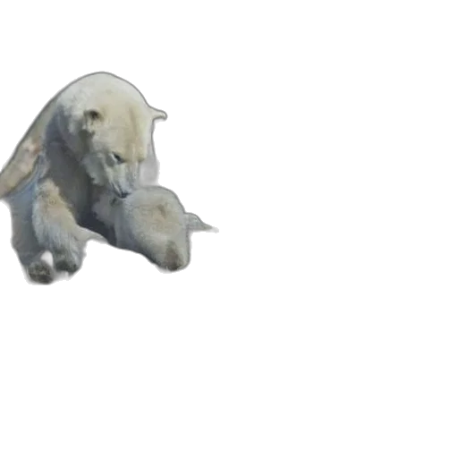animal, creature, dragon, weapon transparent PNG cut-out