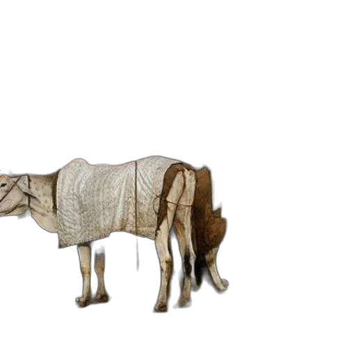 animal, furniture, jacket, jewelry transparent PNG cut-out