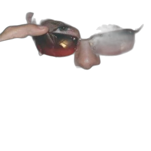 mask, dragon, face, weapon transparent PNG cut-out