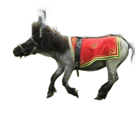 animal, staff, dragon, creature transparent PNG cut-out