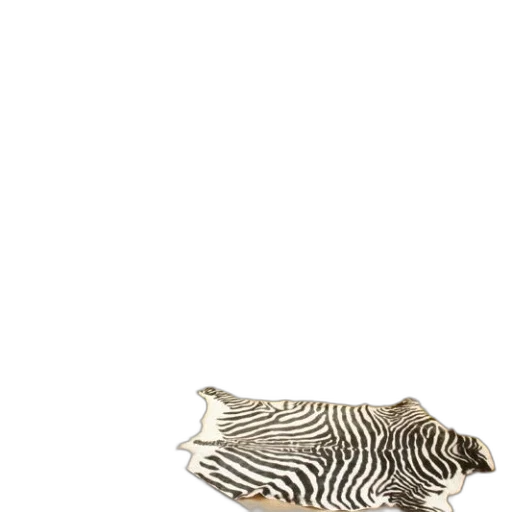 shoes, animal, furniture, jewelry transparent PNG cut-out