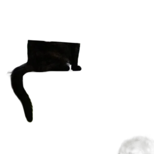 hat, mask, staff, umbrella transparent PNG cut-out