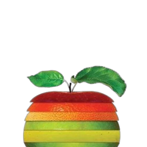 hat, crown, tree, food transparent PNG cut-out