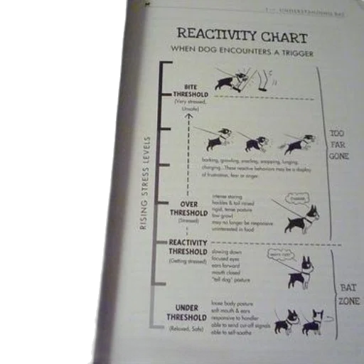 creature, dragon, reactivity, chart transparent PNG cut-out