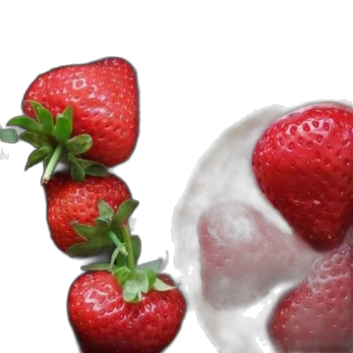 food, animal, face, photorealistic transparent PNG cut-out