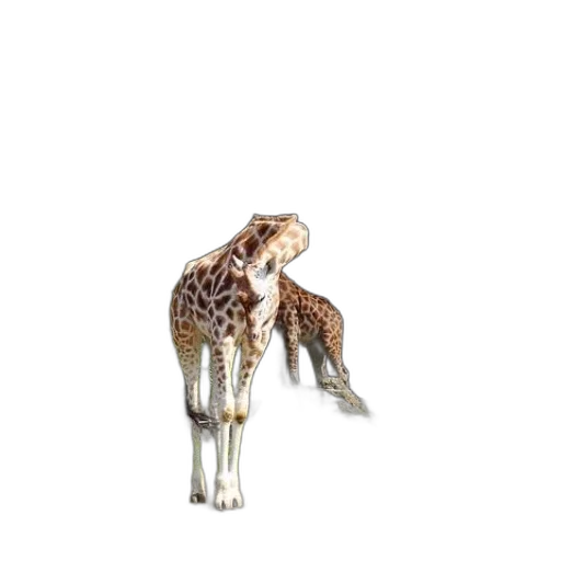 animal, creature, staff, jewelry transparent PNG cut-out