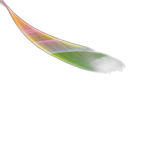weapon, hair, staff, sword transparent PNG cut-out
