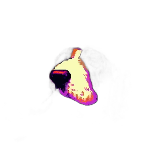 shoes, mask, hat, bottle transparent PNG cut-out