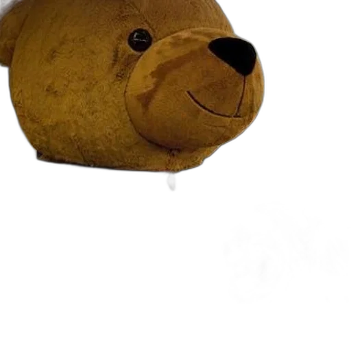 hat, animal, mask, creature transparent PNG cut-out