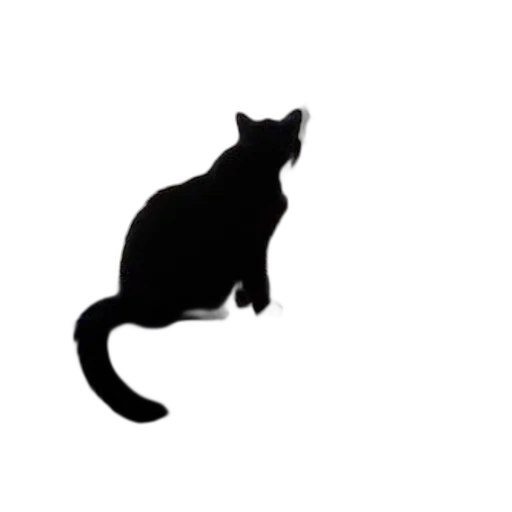 animal, staff, creature, hat transparent PNG cut-out