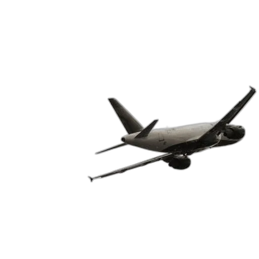 staff, weapon, animal, 3d render transparent PNG cut-out