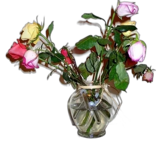flower, jewelry, crown, bottle transparent PNG cut-out