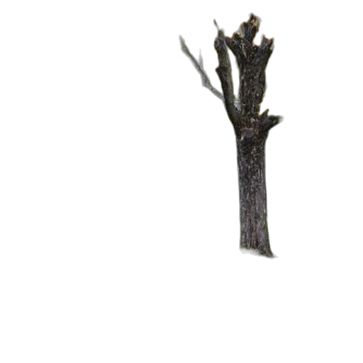 tree, staff, furniture, crown transparent PNG cut-out