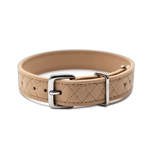 jewelry, beige, dog, collar transparent PNG cut-out