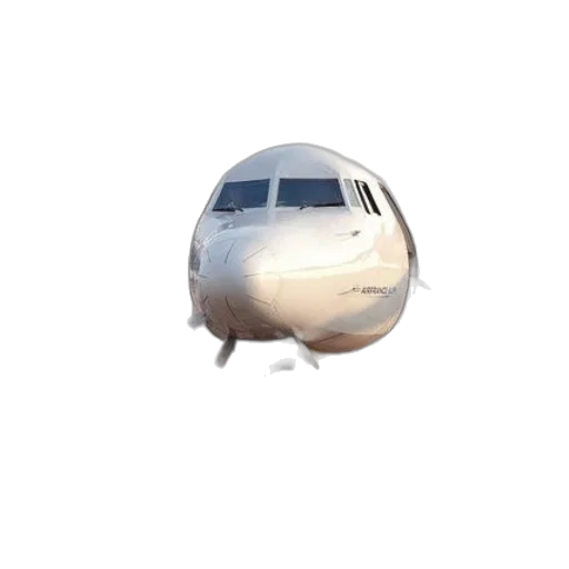car, mask, face, animal transparent PNG cut-out