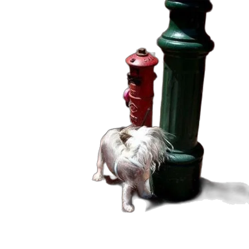 bottle, animal, crown, staff transparent PNG cut-out