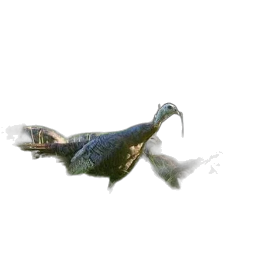 dragon, animal, creature, staff transparent PNG cut-out