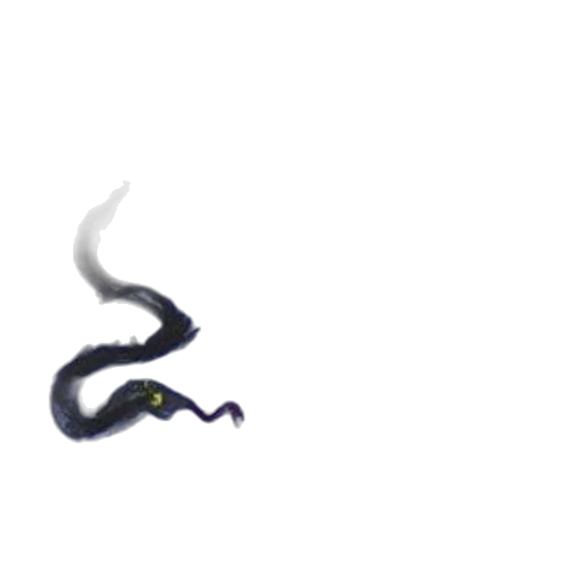hair, staff, dragon, creature transparent PNG cut-out