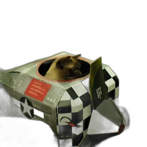 animal, car, shoes, creature transparent PNG cut-out
