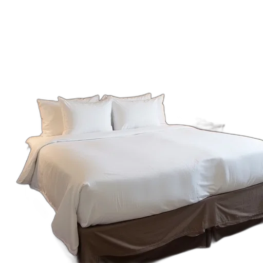 furniture, staff, crown, jacket transparent PNG cut-out