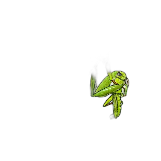 dragon, staff, weapon, creature transparent PNG cut-out