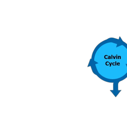 concept art, 3d render, blue, diagram transparent PNG cut-out