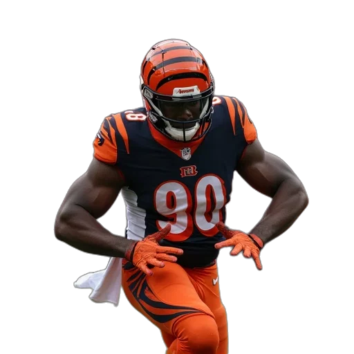 animal, creature, bengals, player transparent PNG cut-out