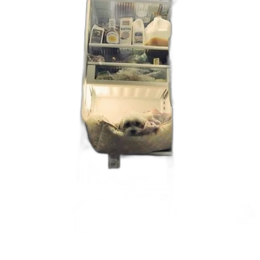 bottle, food, staff, furniture transparent PNG cut-out
