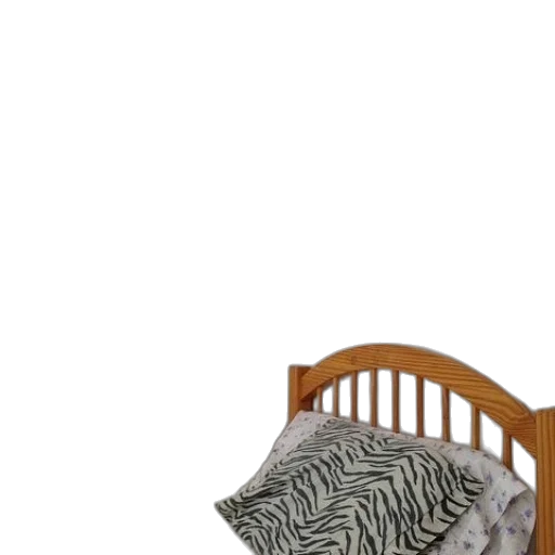 furniture, hair, hat, animal transparent PNG cut-out