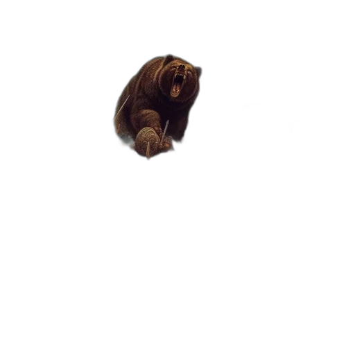 animal, hair, creature, face transparent PNG cut-out