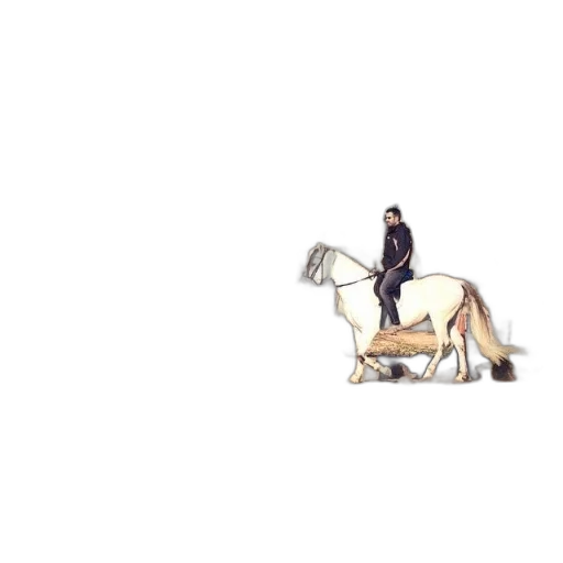 animal, staff, hat, furniture transparent PNG cut-out