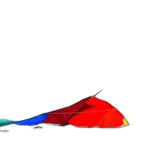 umbrella, shoes, hat, dragon transparent PNG cut-out
