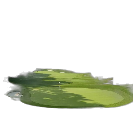 bottle, food, hair, hat transparent PNG cut-out