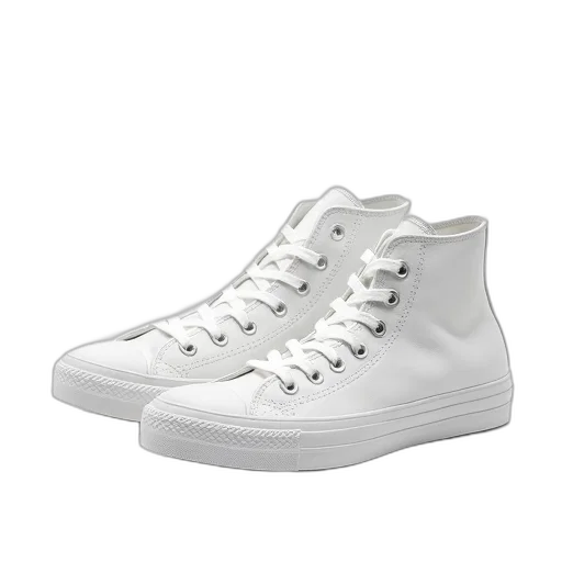 shoes, photorealistic, 3d render, monochrome transparent PNG cut-out