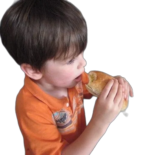 food, animal, creature, weapon transparent PNG cut-out