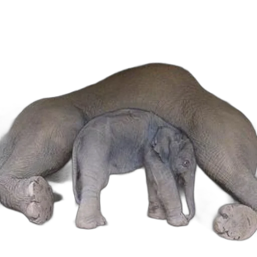 animal, creature, staff, furniture transparent PNG cut-out