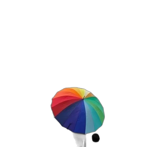 umbrella, hat, staff, flower transparent PNG cut-out