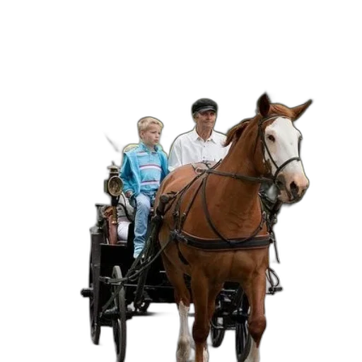 staff, animal, car, robot transparent PNG cut-out